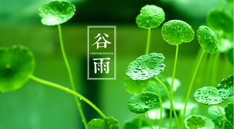 谷雨节气 | 雨生百谷，万物可期！