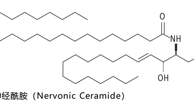 神经酰胺的来源与作用